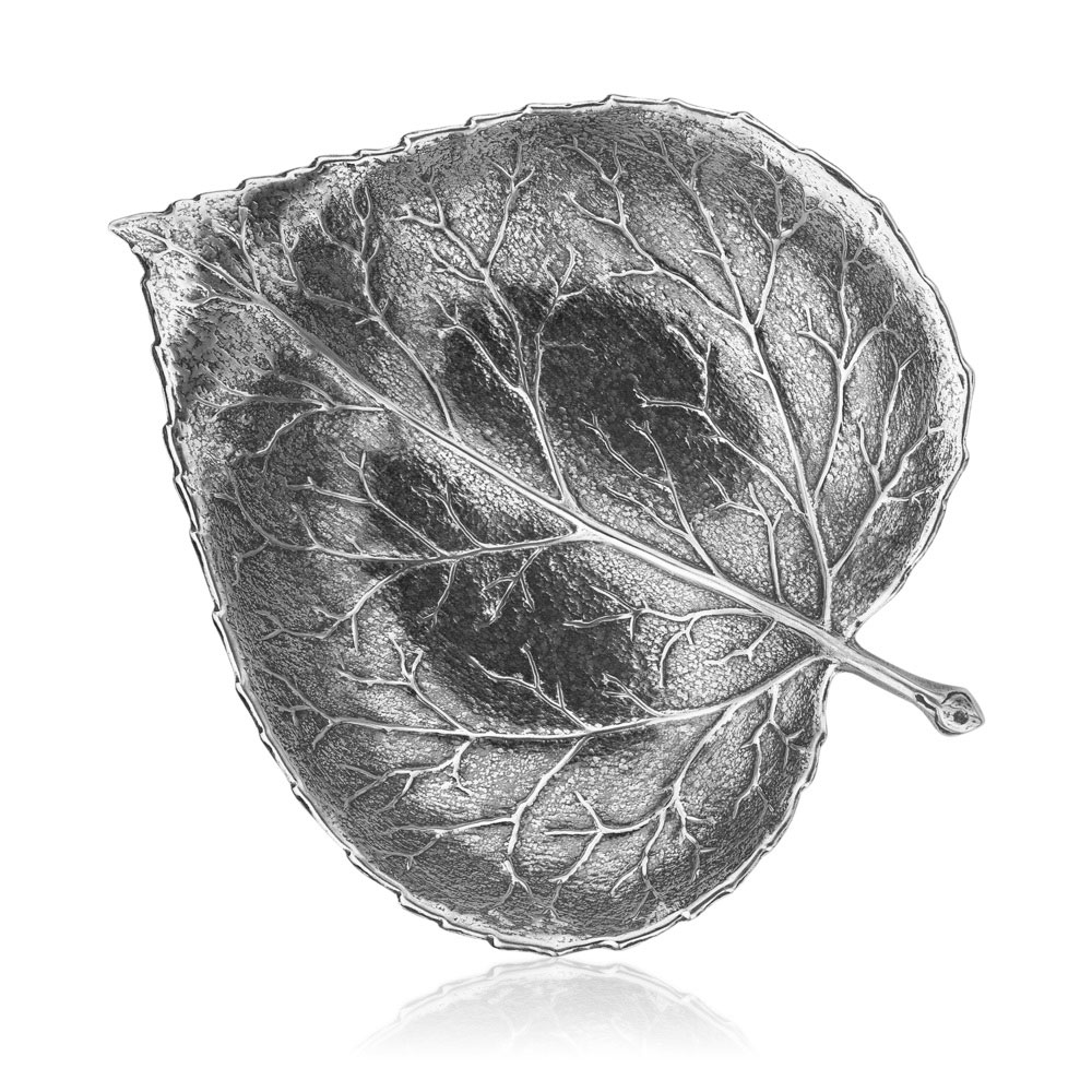 Foglia Aspen