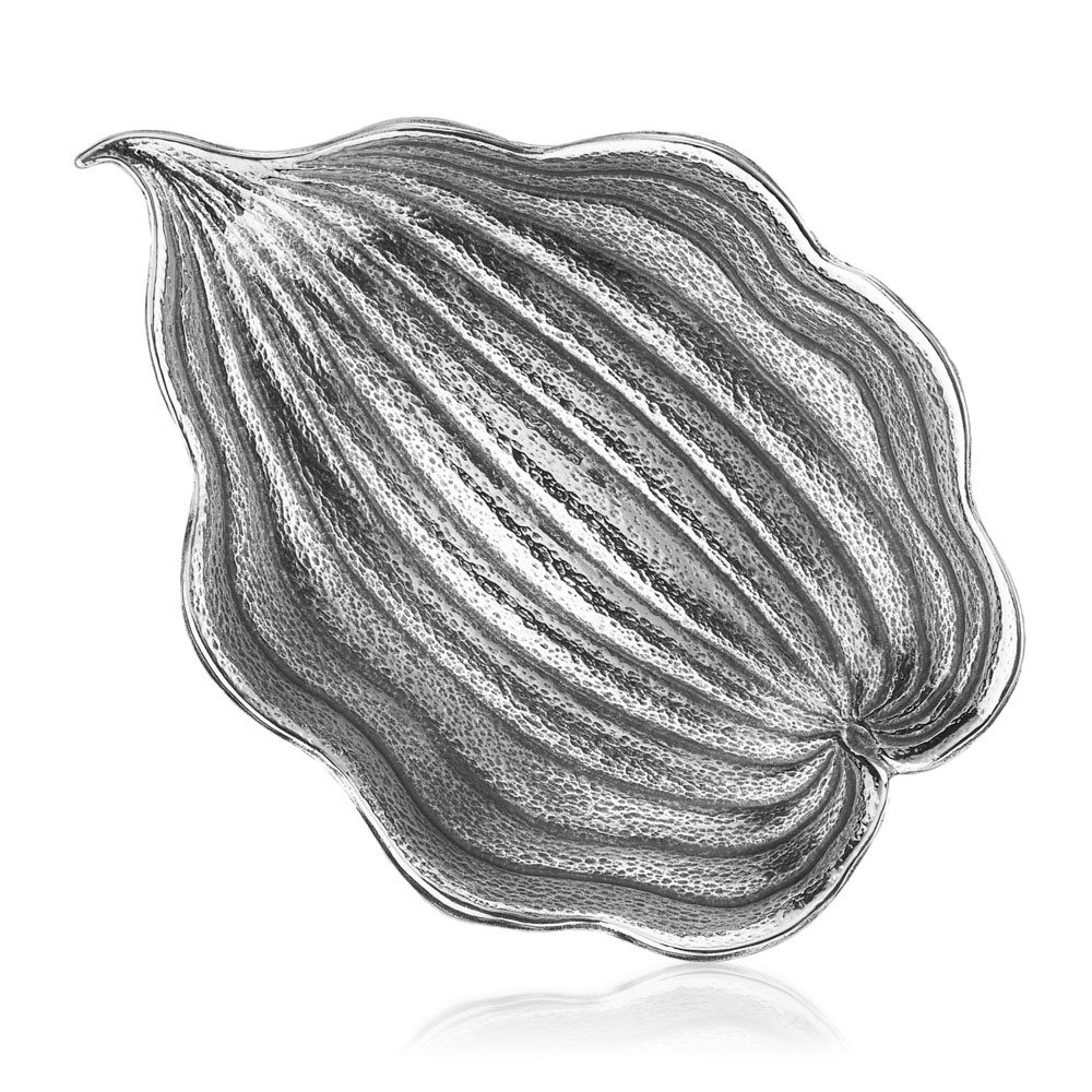Foglia Hosta