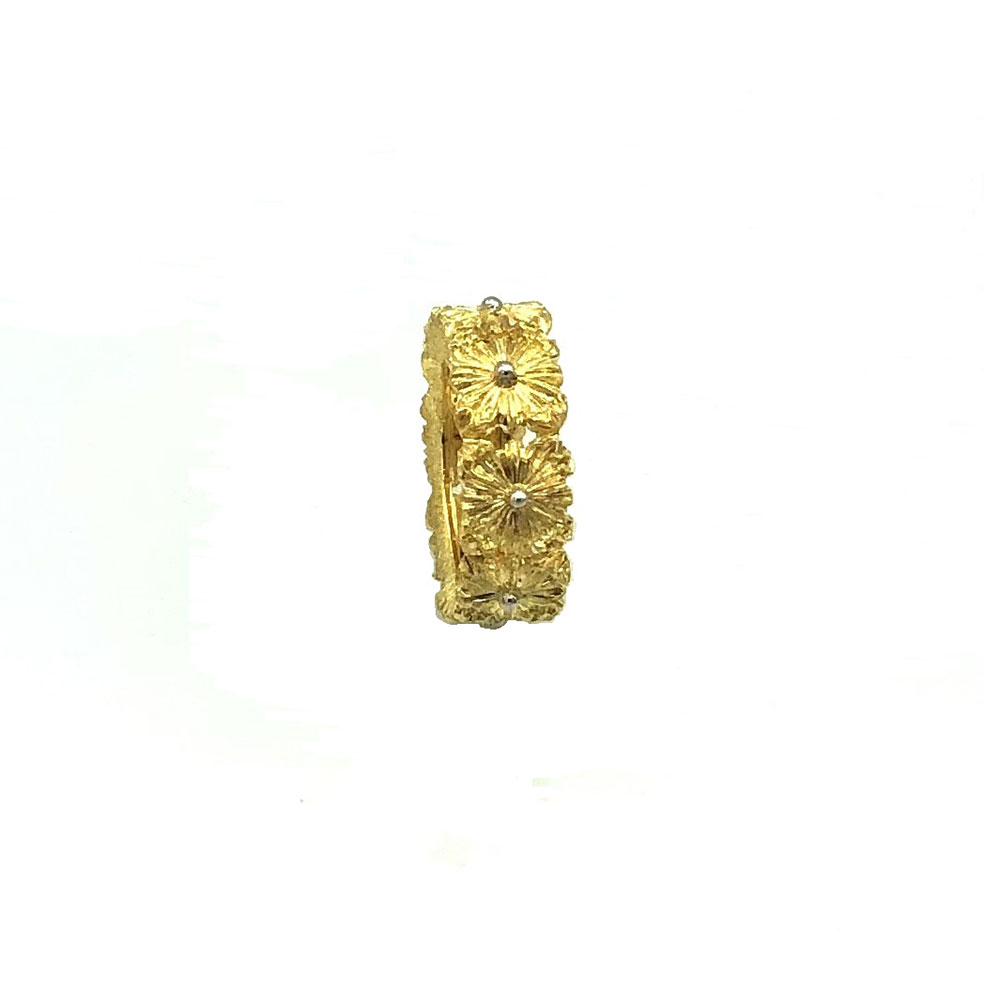 Anello Rosoni
